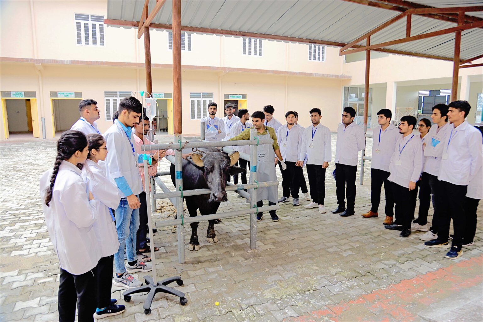 RR College Of Veterinary & Animal Science College of Veterinary and